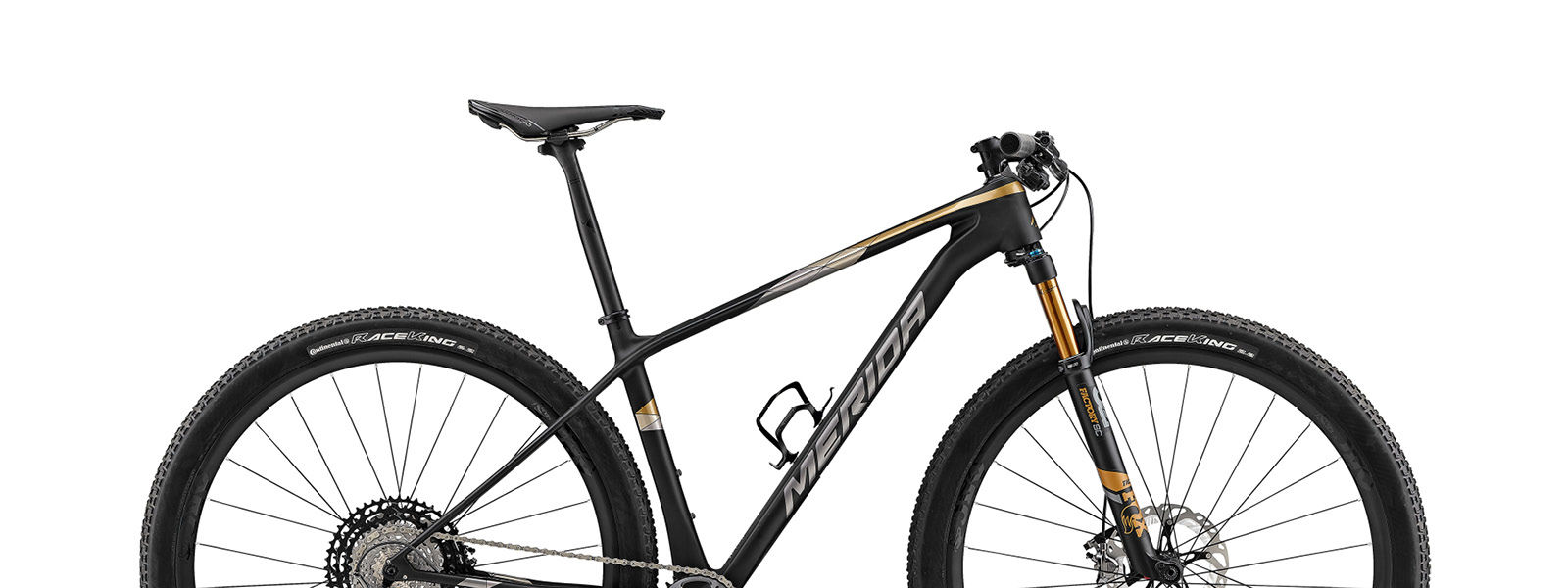 fat tire bike luggage rack